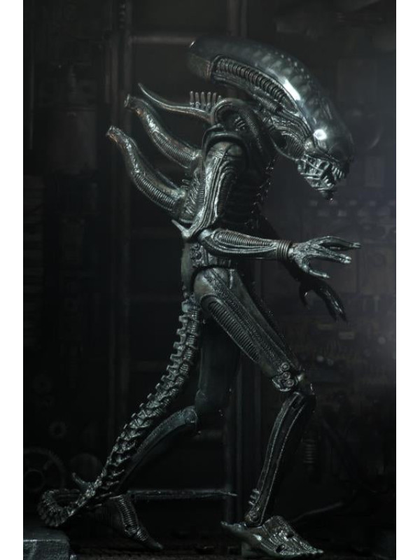 Neca - Alien